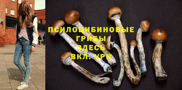 прущие крисы Нефтегорск