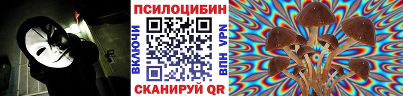Псилоцибиновые грибы мухоморы  Купить где  Южно-Сухокумск 